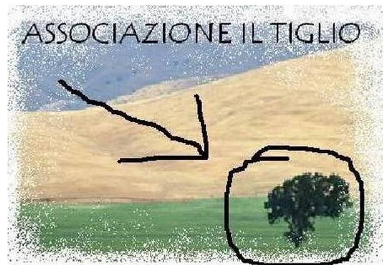 Il tiglio